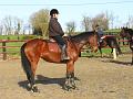 Galop 1 08 mars 2008 photo 2